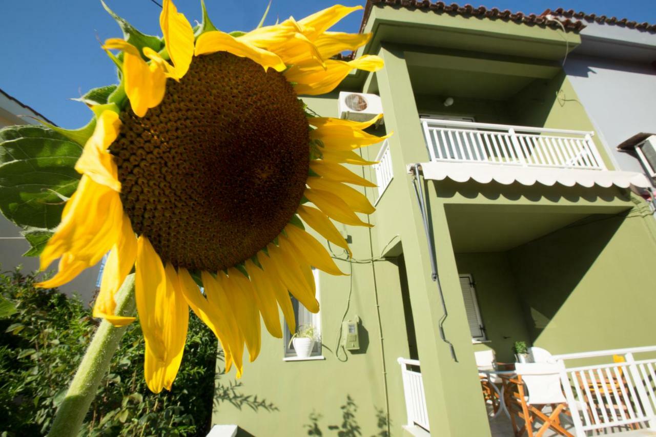 Marietta'S Townhouse Villa Argostoli  Exterior photo